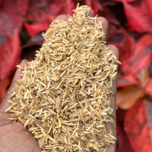 Rice Husk (500 gram )